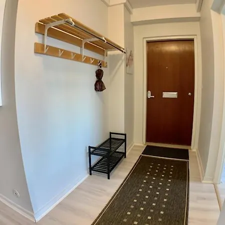 アパート Kaupunkikoti 2-room C50 ケミ