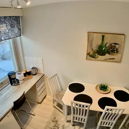 アパート Kaupunkikoti 2-room C50 *